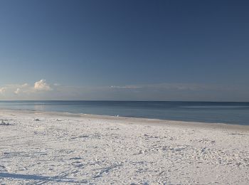 midnight cove vacation rental siesta key beach 2